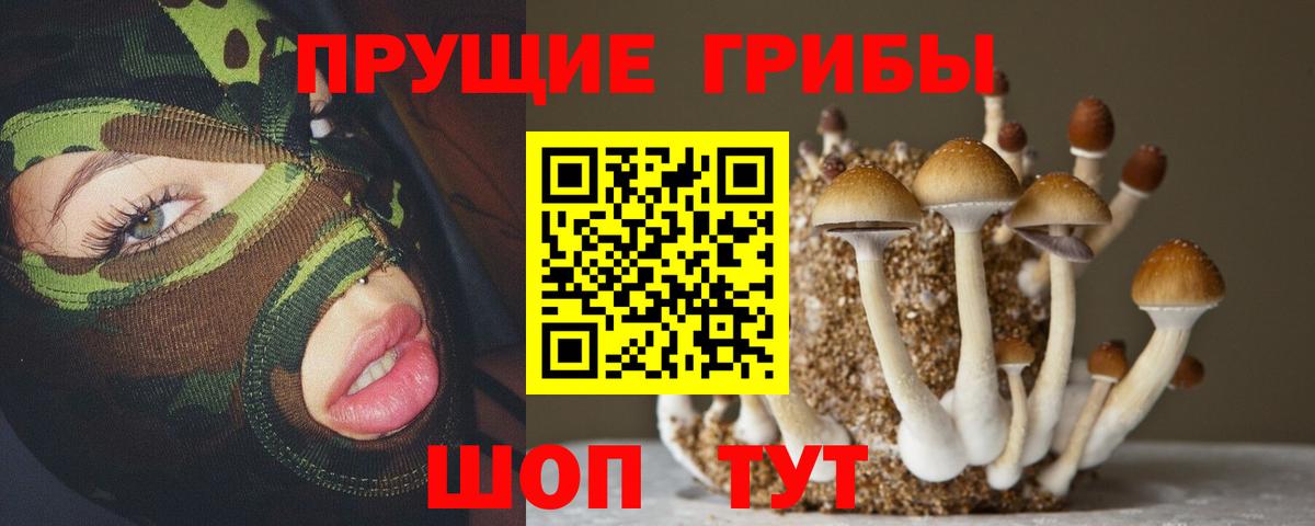 Галлюциногенные грибы Cubensis  Псилоцибиновые грибы прущие грибы  цена наркотик  Вход с VPN  Добрянка 